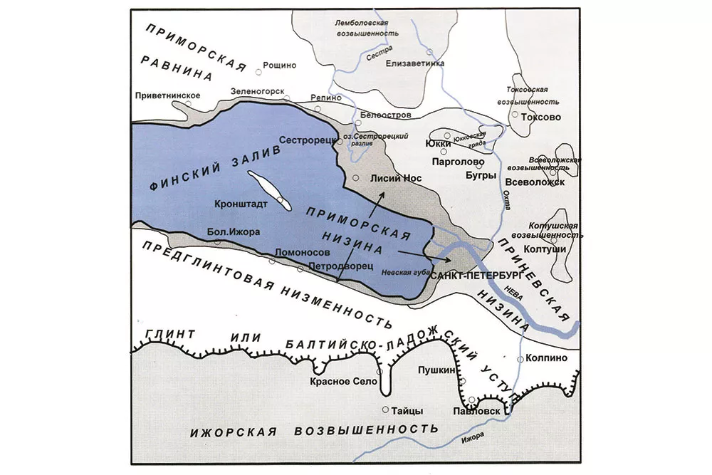 Причины, симптомы и лечение заболеваний ЛОР-органов